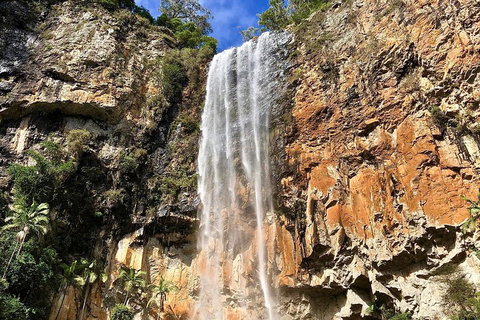 Springbrook Full Day Tour - Mackay Tourism 2