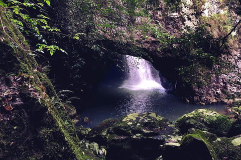 Springbrook Full Day Tour - Mackay Tourism 3