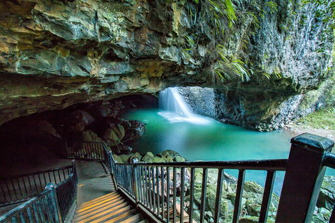 Springbrook Full Day Tour - Mackay Tourism 4