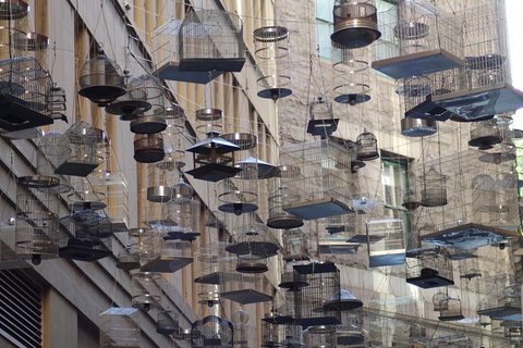 Sydney Scavenger Hunt: Inside Sydney - Mackay Tourism 0