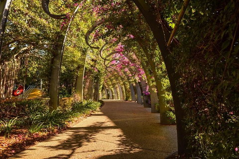Brisbane Scavenger Hunt: Brisbane's South Bank! - Mackay Tourism 3
