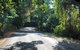 Cairns To Cooktown 4WD Tour - thumb 0