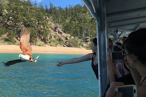 Aquascene Magnetic Island Discovery Tour - Mackay Tourism 2
