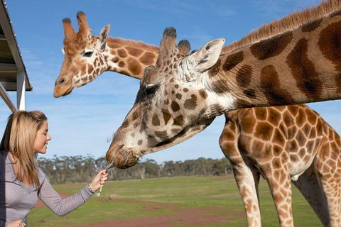 Melbourne City Card (2 Days): Visit Unlimited Attractions! - Mackay Tourism 1