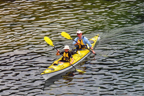 Self-Guided Sydney Middle Harbour Kayak 3 Hour Tour By Double Kayak - Mackay Tourism 0