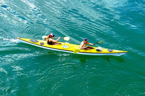 Self-Guided Sydney Middle Harbour Kayak 3 Hour Tour By Double Kayak - Mackay Tourism 1