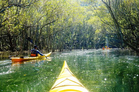 Self-Guided Sydney Middle Harbour Kayak 3 Hour Tour By Double Kayak - Mackay Tourism 3