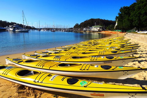 Self-Guided Sydney Middle Harbour Kayak 3 Hour Tour By Double Kayak - Mackay Tourism 4