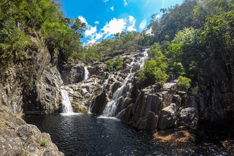 Behana Canyon Rainforest And Waterfall Experience - Mackay Tourism 5