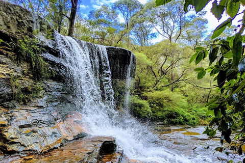 Blue Mountains Private Tour - Wild Kangaroos, Waterfalls And The Three Sisters - Mackay Tourism 5