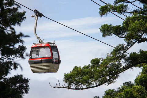 Sydney Taronga Zoo General Entry Ticket And Wild Australia Experience - Mackay Tourism 2