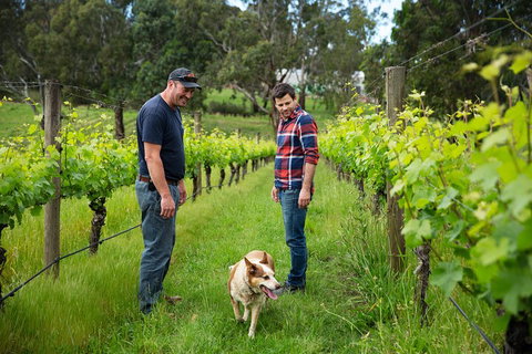 LGBT+ Friendly Full Day Yarra Valley & Dandenong Ranges Private Tour - Mackay Tourism 4