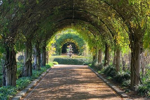 LGBT+ Friendly Full Day Yarra Valley & Dandenong Ranges Private Tour - Mackay Tourism 5