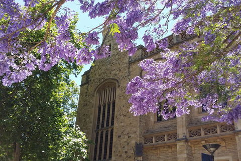 Cultural Caper Adelaide Walking Tour - Mackay Tourism 1