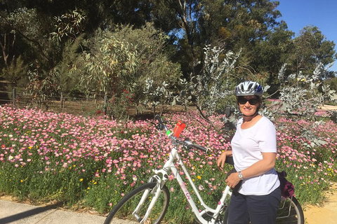 Perth Bike Tour - Beautiful Matilda Bay And Kings Park - Mackay Tourism 1