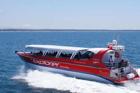 Whale Watching Jervis Bay - Mackay Tourism 1
