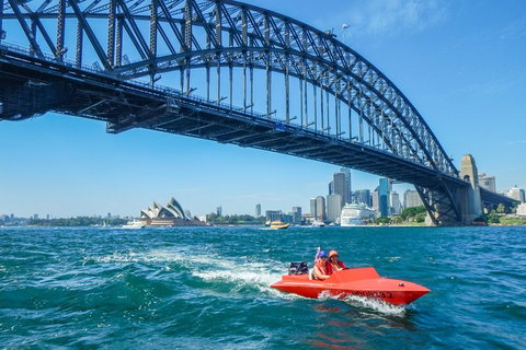 Sydney Speed Boat Adventure Harbour Tour - Mackay Tourism 5