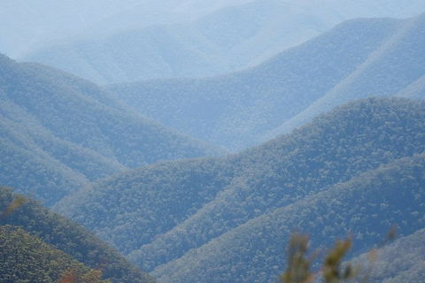 From The Mountains To The Bay - 4 Day Rediscovery Private Tour - Mackay Tourism 1