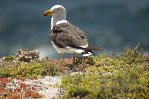 From The Mountains To The Bay - 4 Day Rediscovery Small Group Tour - Mackay Tourism 1