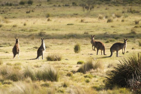 From The Mountains To The Bay - 4 Day Rediscovery Small Group Tour - Mackay Tourism 4
