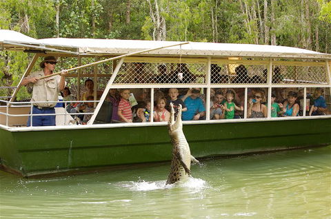 Hartley's Crocodile Adventure Half-Day Tour - Mackay Tourism 0