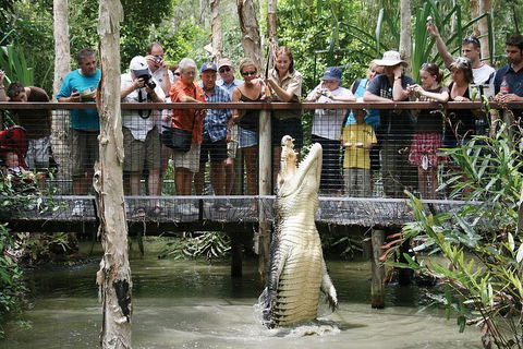 Hartley's Crocodile Adventure Half-Day Tour - Mackay Tourism 1