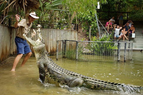 Hartley's Crocodile Adventure Half-Day Tour - Mackay Tourism 2
