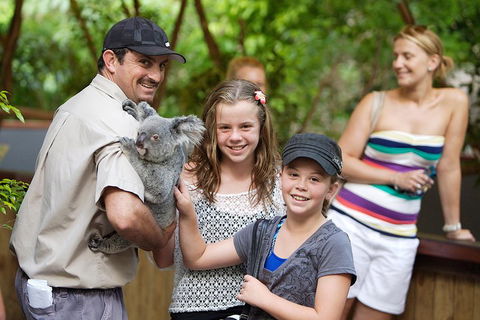 Hartley's Crocodile Adventure Half-Day Tour - Mackay Tourism 3