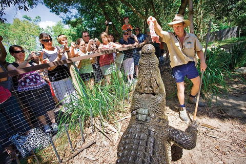 Hartley's Crocodile Adventure Half-Day Tour - Mackay Tourism 4