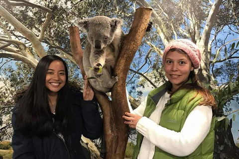 The Ultimate Sydney Attractions Pass - Mackay Tourism 1