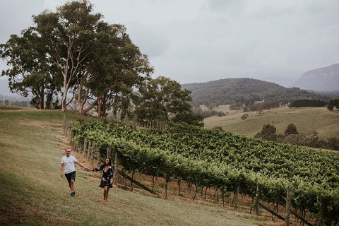 Luxury Blue Mountains Tour With Aussie BBQ Lunch And Wine Tasting - Mackay Tourism 3