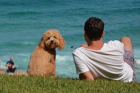 See Sydney With A Local: Private & Personalized - Mackay Tourism 5