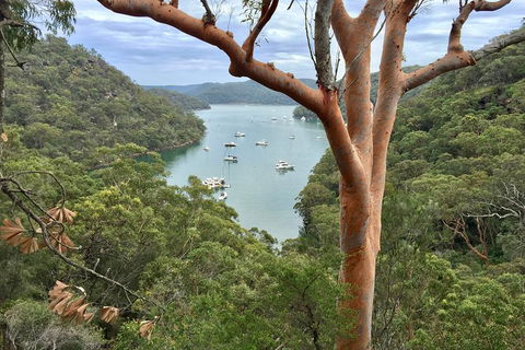 Shore Excursion: Sydney's Northern Beaches & Ku-ring-gai National Park Bus Tour - Mackay Tourism 1