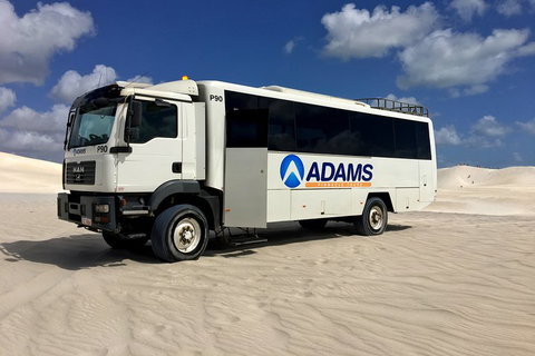 Pinnacles Desert, Koalas And Sandboarding 4WD Day Tour From Perth - Mackay Tourism 2