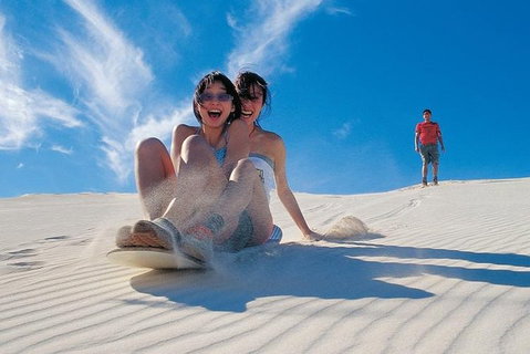 Pinnacles Desert, Koalas And Sandboarding 4WD Day Tour From Perth - Mackay Tourism 3