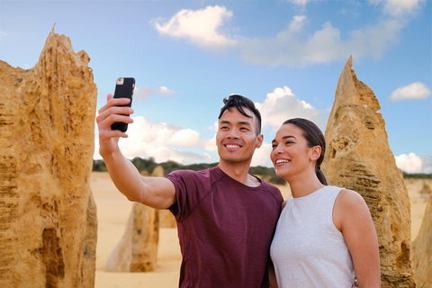 Pinnacles Desert, Koalas And Sandboarding 4WD Day Tour From Perth - Mackay Tourism 4