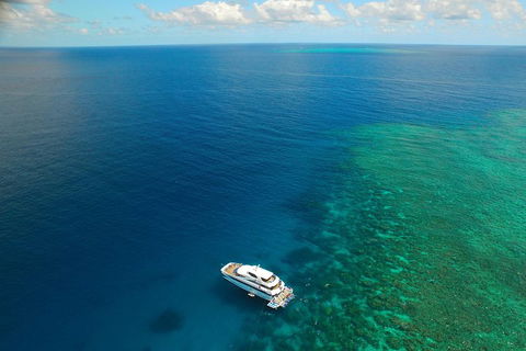 Great Barrier Reef Snorkeling And Diving Cruise From Cairns - Mackay Tourism 4