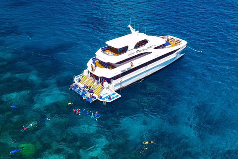Great Barrier Reef Snorkeling And Diving Cruise From Cairns - Mackay Tourism 5