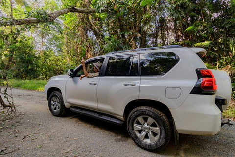 Full Day Cooktown Private Tour - Mackay Tourism 3