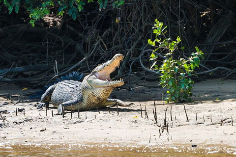 Full Day Cooktown Private Tour - Mackay Tourism 4