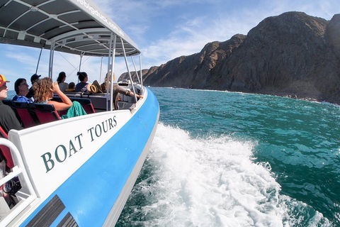 Southern Ocean Adventure From Victor Harbor - Mackay Tourism 0