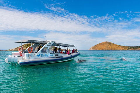 Southern Ocean Adventure From Victor Harbor - Mackay Tourism 1