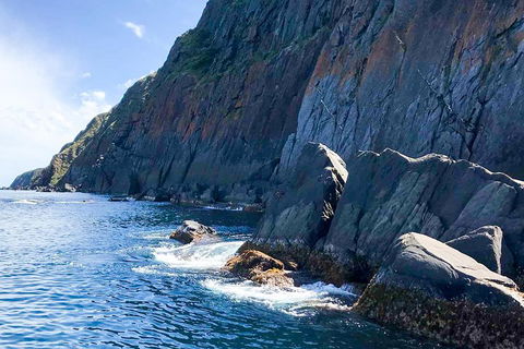 Southern Ocean Adventure From Victor Harbor - Mackay Tourism 3