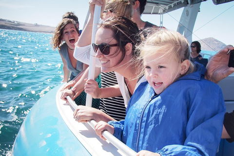 Southern Ocean Adventure From Victor Harbor - Mackay Tourism 4