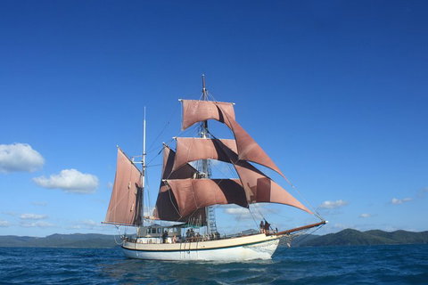 Sydney Harbour Tall Ship Whale & Sail - Whale Watching Cruise - Mackay Tourism 1