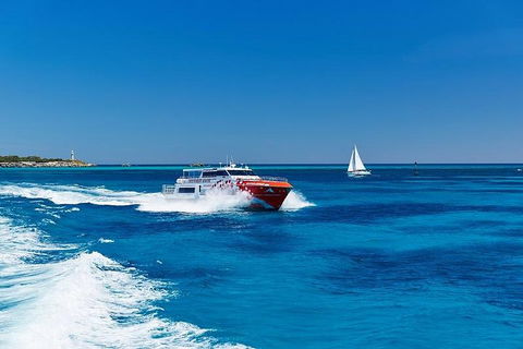Rottnest Island Round-Trip Ferry From Perth Or Fremantle - Mackay Tourism 4