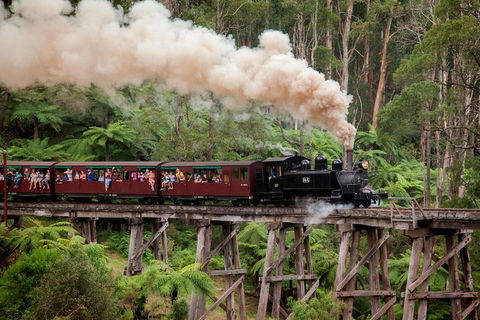 Melbourne Combo: Great Ocean Road, Puffing Billy, Moonlit Sanctuary & Penguins - Mackay Tourism 1