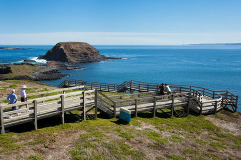 Melbourne Combo: Great Ocean Road, Puffing Billy, Moonlit Sanctuary & Penguins - Mackay Tourism 5