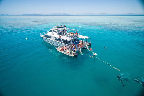 Ocean Freedom Great Barrier Reef Personal Luxury Snorkel & Dive Cruise, Cairns - Mackay Tourism 0