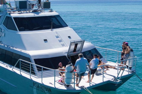 Ocean Freedom Great Barrier Reef Personal Luxury Snorkel & Dive Cruise, Cairns - Mackay Tourism 1